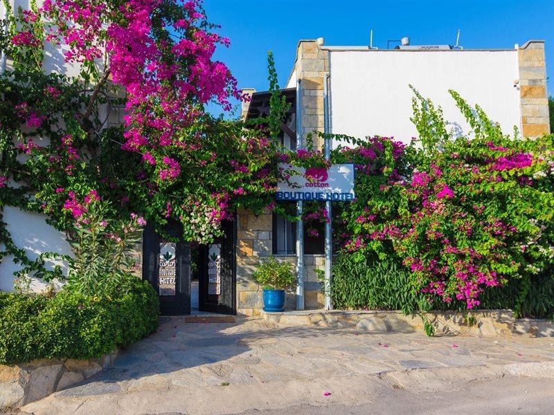 Cotton Boutique Hotel Bitez Exterior photo