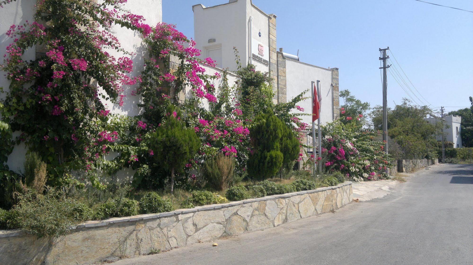 Cotton Boutique Hotel Bitez Exterior photo